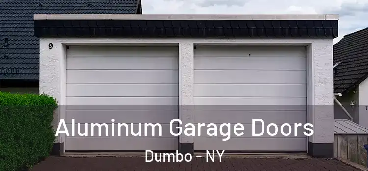  Aluminum Garage Doors Dumbo - NY