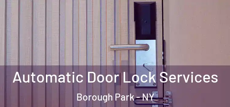 Automatic Door Lock Services Borough Park - NY