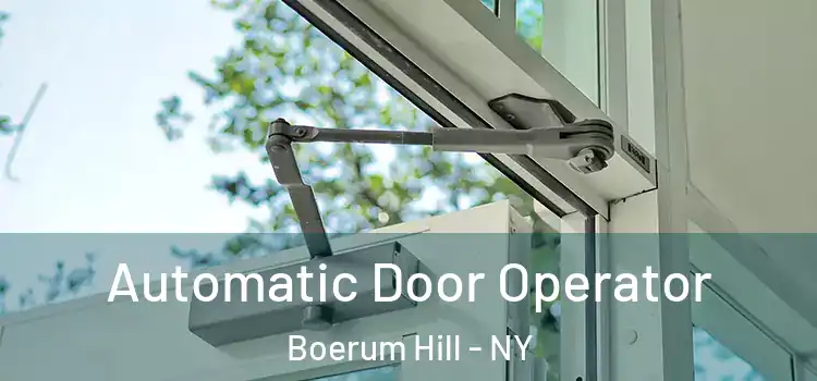  Automatic Door Operator Boerum Hill - NY