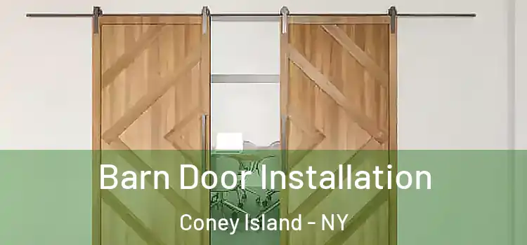 Barn Door Installation Coney Island - NY