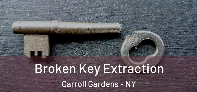 Broken Key Extraction Carroll Gardens - NY