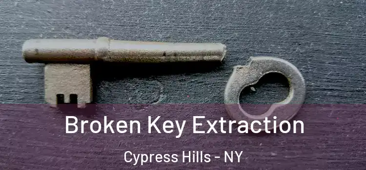 Broken Key Extraction Cypress Hills - NY