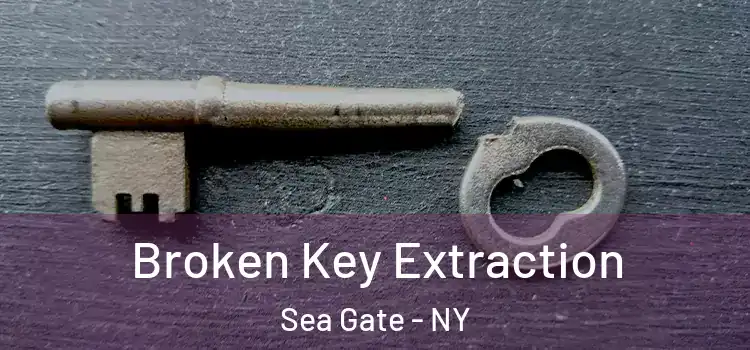  Broken Key Extraction Sea Gate - NY