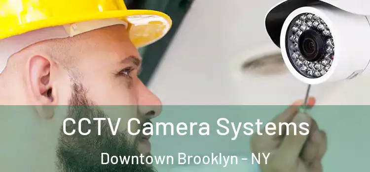 CCTV Camera Systems Downtown Brooklyn - NY