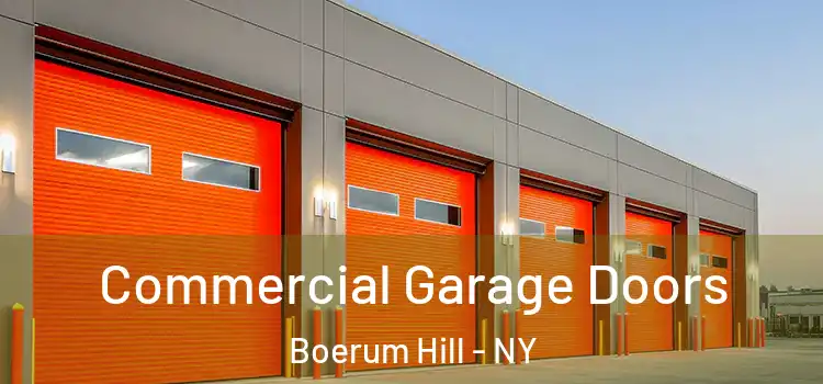  Commercial Garage Doors Boerum Hill - NY