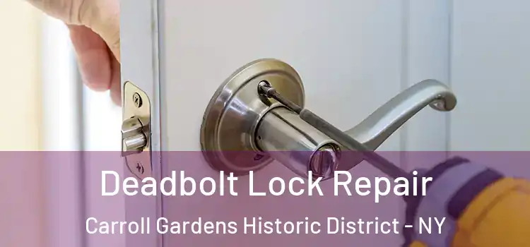 Deadbolt Lock Repair Carroll Gardens Historic District - NY