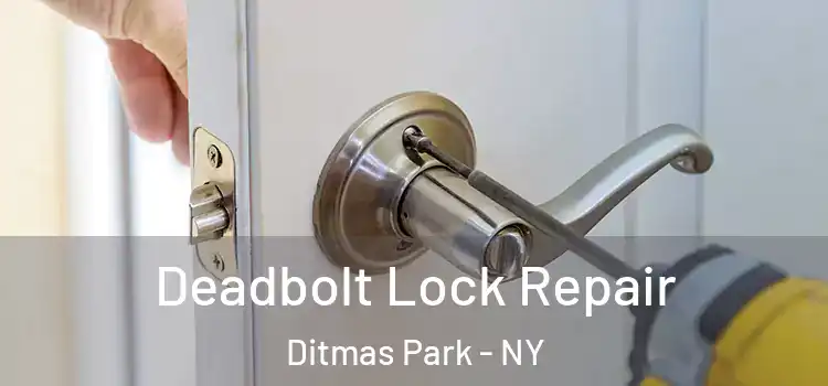 Deadbolt Lock Repair Ditmas Park - NY