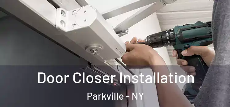  Door Closer Installation Parkville - NY