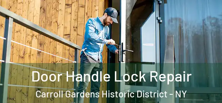 Door Handle Lock Repair Carroll Gardens Historic District - NY