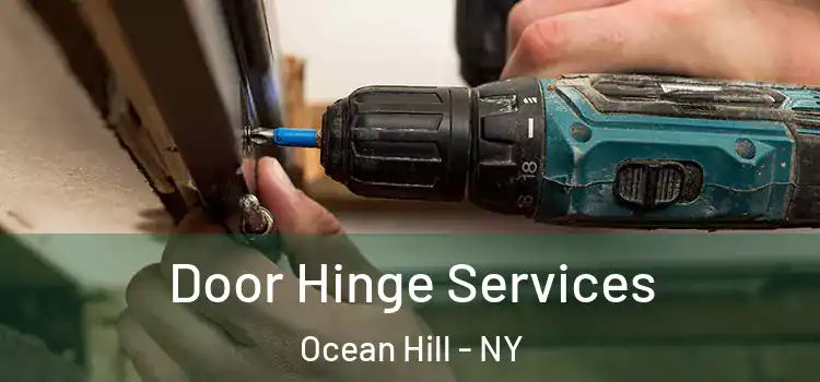  Door Hinge Services Ocean Hill - NY