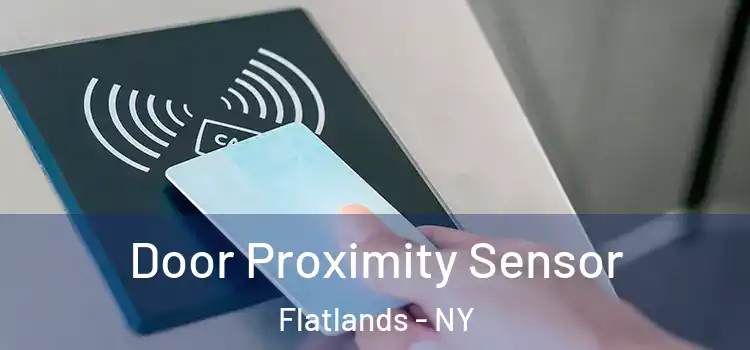 Door Proximity Sensor Flatlands - NY