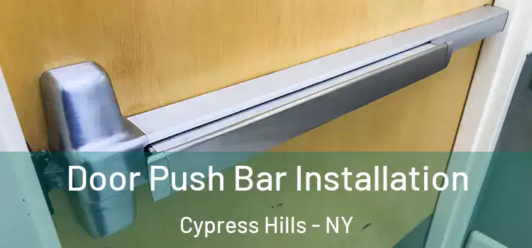  Door Push Bar Installation Cypress Hills - NY