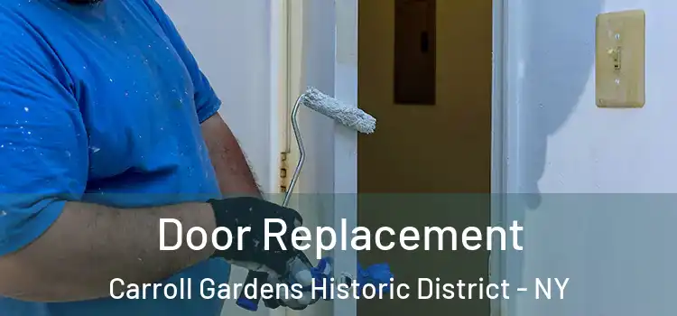 Door Replacement Carroll Gardens Historic District - NY