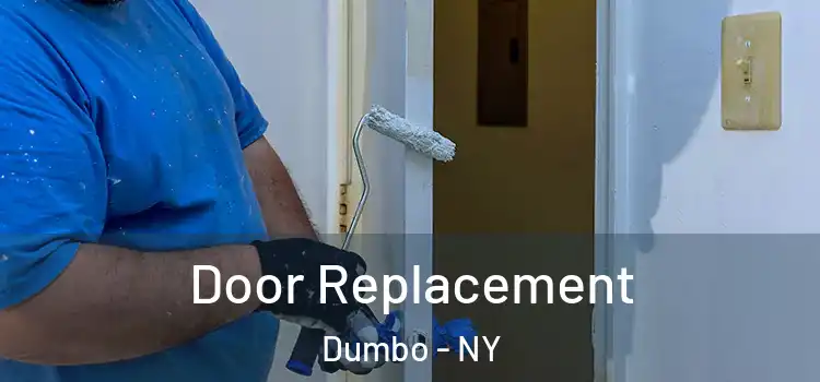 Door Replacement Dumbo - NY