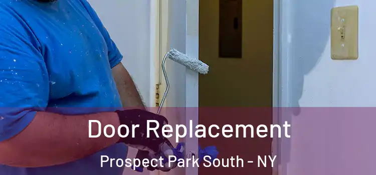  Door Replacement Prospect Park South - NY