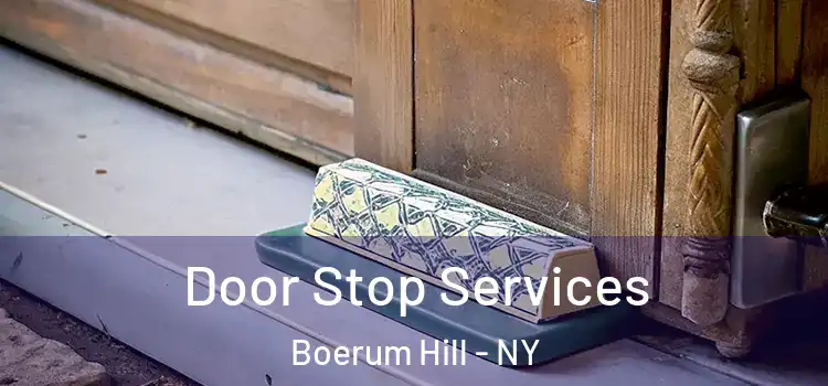 Door Stop Services Boerum Hill - NY