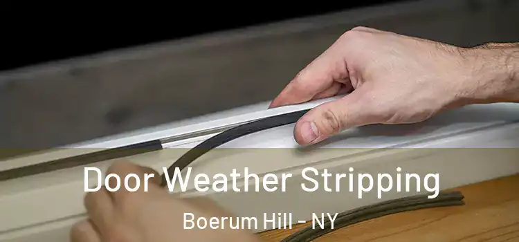 Door Weather Stripping Boerum Hill - NY