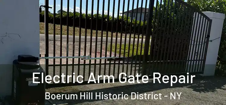  Electric Arm Gate Repair Boerum Hill Historic District - NY