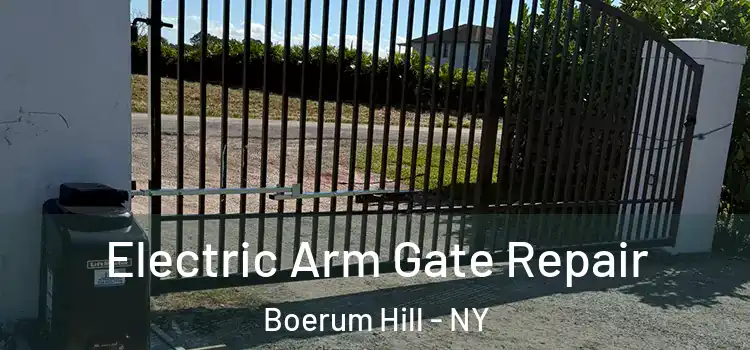 Electric Arm Gate Repair Boerum Hill - NY