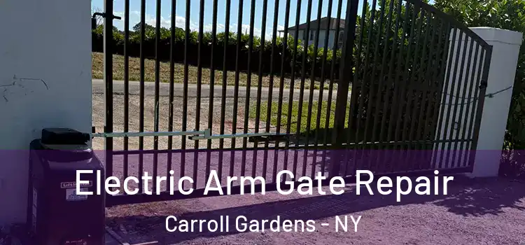 Electric Arm Gate Repair Carroll Gardens - NY