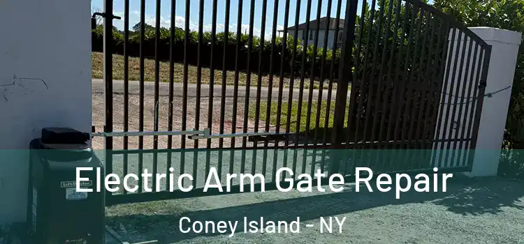 Electric Arm Gate Repair Coney Island - NY