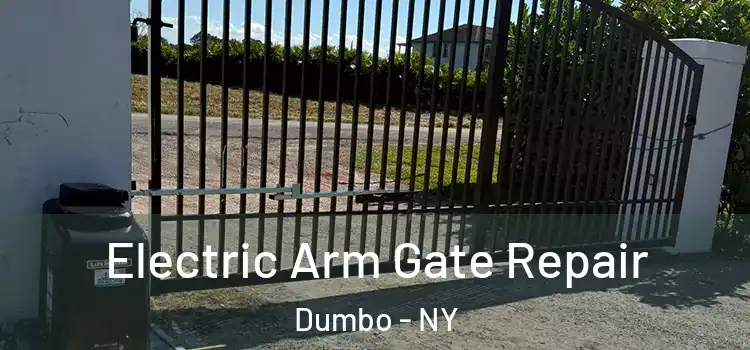 Electric Arm Gate Repair Dumbo - NY