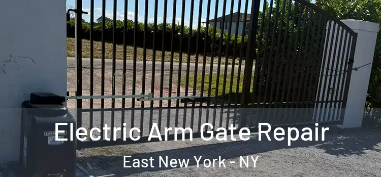  Electric Arm Gate Repair East New York - NY