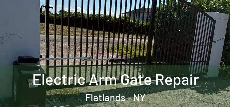Electric Arm Gate Repair Flatlands - NY