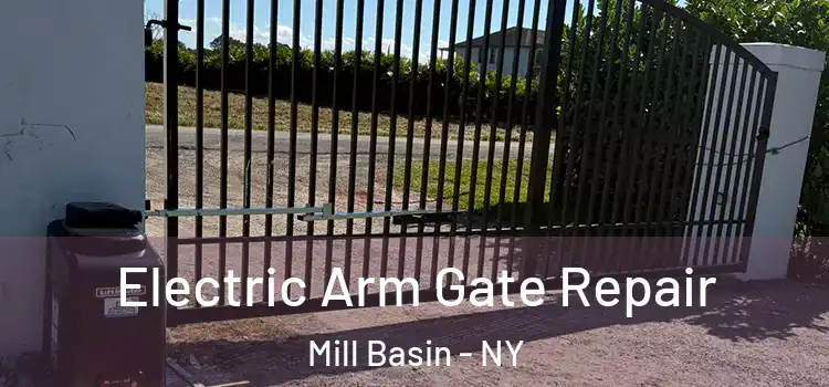 Electric Arm Gate Repair Mill Basin - NY