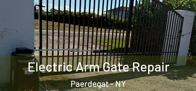  Electric Arm Gate Repair Paerdegat - NY