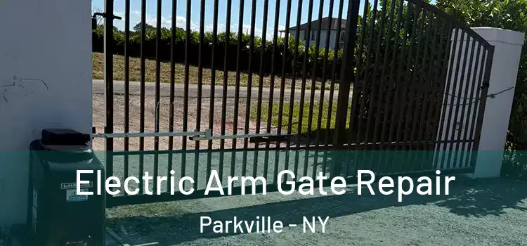 Electric Arm Gate Repair Parkville - NY