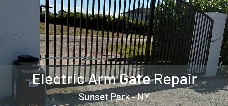 Electric Arm Gate Repair Sunset Park - NY