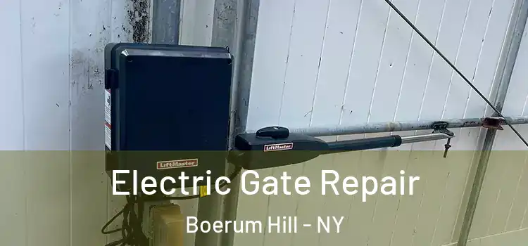 Electric Gate Repair Boerum Hill - NY