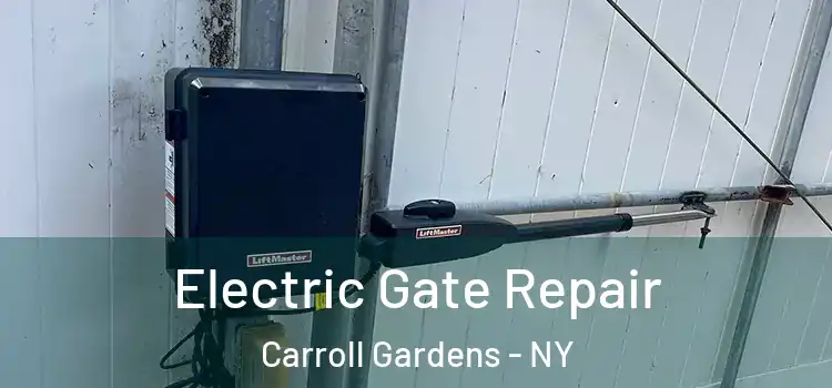 Electric Gate Repair Carroll Gardens - NY