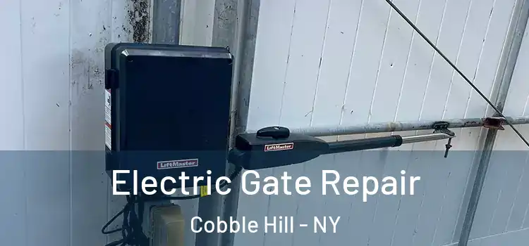 Electric Gate Repair Cobble Hill - NY