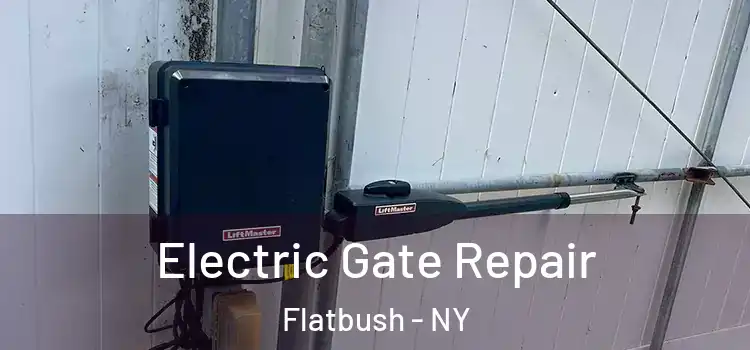  Electric Gate Repair Flatbush - NY