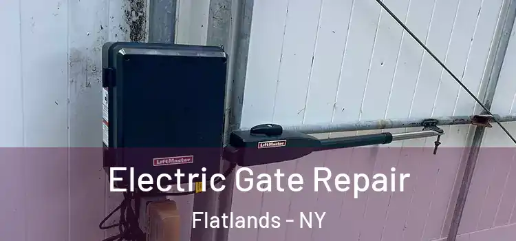 Electric Gate Repair Flatlands - NY