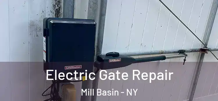 Electric Gate Repair Mill Basin - NY