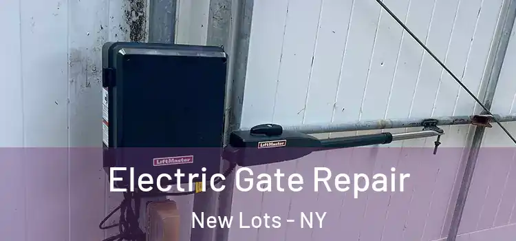 Electric Gate Repair New Lots - NY