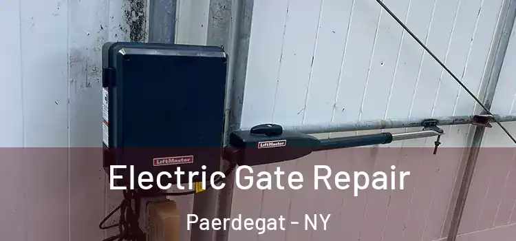  Electric Gate Repair Paerdegat - NY
