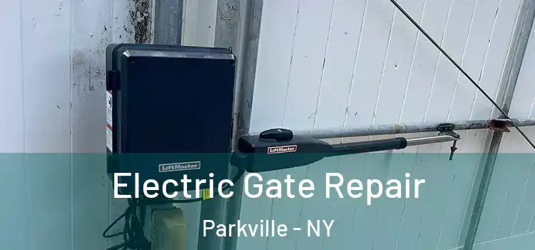 Electric Gate Repair Parkville - NY