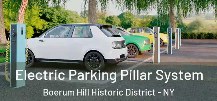 Electric Parking Pillar System Boerum Hill Historic District - NY
