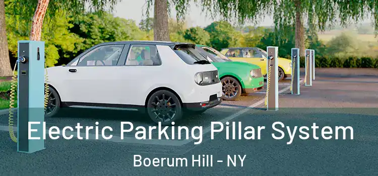 Electric Parking Pillar System Boerum Hill - NY