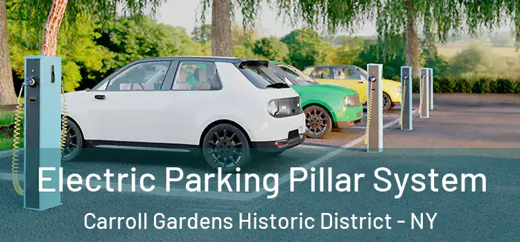 Electric Parking Pillar System Carroll Gardens Historic District - NY