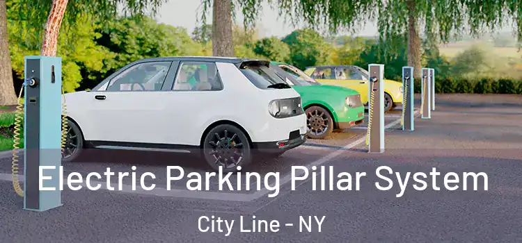 Electric Parking Pillar System City Line - NY