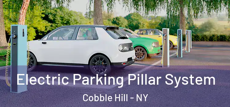  Electric Parking Pillar System Cobble Hill - NY
