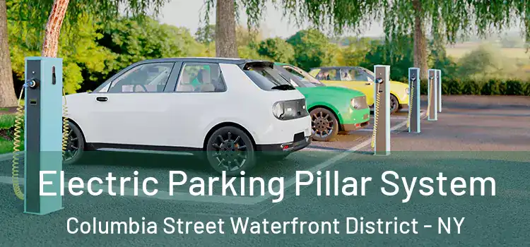 Electric Parking Pillar System Columbia Street Waterfront District - NY