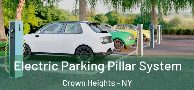  Electric Parking Pillar System Crown Heights - NY