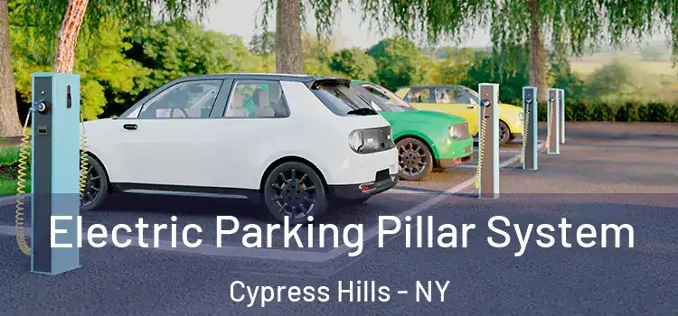 Electric Parking Pillar System Cypress Hills - NY