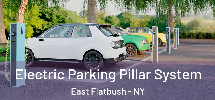 Electric Parking Pillar System East Flatbush - NY